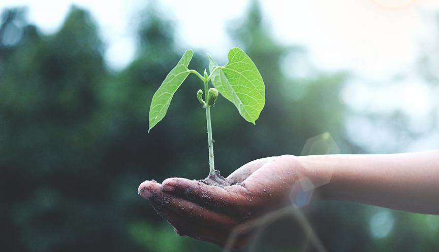 ��Ӯ��(VWIN)�ٷ���վ-AC�����ٷ�����ͬ��